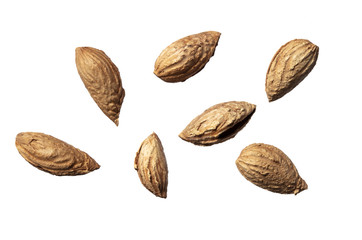 Fresh almonds in a shell on a white isolated background high resolution