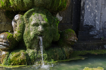 jardins du chateau de Freyr (Hastière, Namur, Belgique)