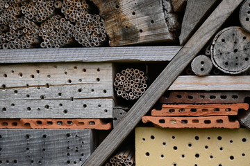 Bienennest, Bienenstock, Bienenhaus, Bienen
