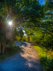 footpath in the park