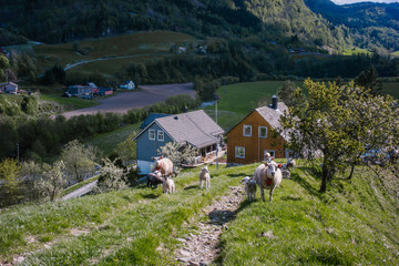 Beautiful Norway © Wodzownik