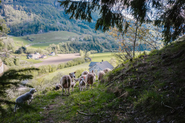 Beautiful Norway © Wodzownik