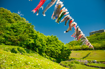 5月5日子供の日青空を泳ぐ鯉のぼり