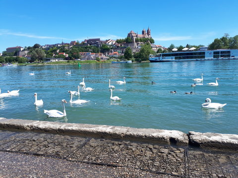 Rhein, Breisach