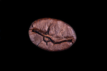 a single bean macro shot. take to show the detail and the character of the bean. Black background