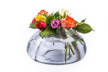 beautiful close-up multi color roses in a tranpasent vase over white background