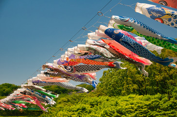 鯉のぼり, 子供の日, 青空, 風, 赤, 青, 雲, 木, 緑