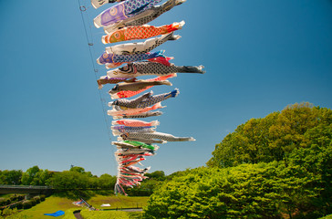 鯉のぼり, 子供の日, 青空, 風, 赤, 青, 雲, 木, 緑