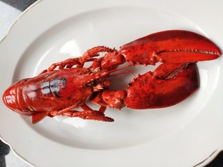 lobster on a plate