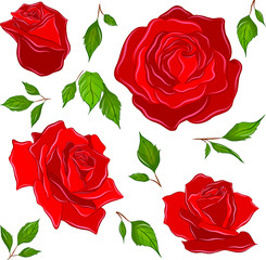 set of roses red and leaves to create composition pattern flowers vector illustration