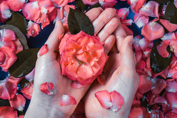 hands, spa and water treatments from gently orange roses and rose petals