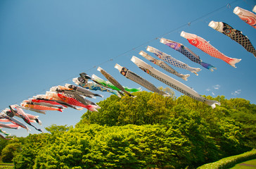 鯉のぼり, 子供の日, 青空, 風, 赤, 青, 雲, 木, 緑