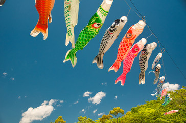 鯉のぼり, 子供の日, 青空, 風, 赤, 青, 雲, 木, 緑