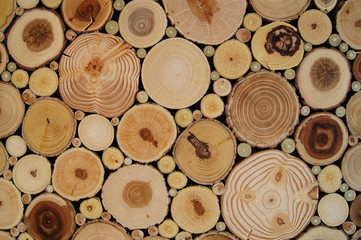 Round wood texture. Cross section of the juniper tree. Art abstract nature.