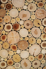 Round wood texture. Cross section of the juniper tree. Art abstract nature.