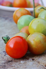 small fresh cherry tomatoes with green vines