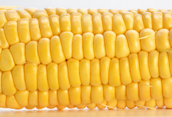 Sweet yellow corn background, harvest season, healthy organic nutrition, maize cob, macro. The texture pattern of a corn cob, high resolution. 