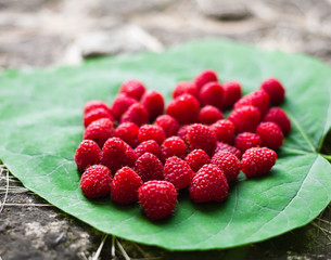 Handful of fresh ripe raspberries on green leaf.