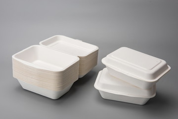 Biodegradable environmental disposable fast food box, in the gray background