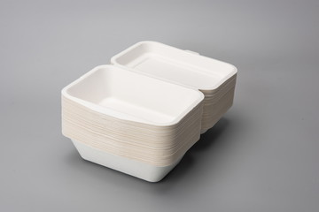 Biodegradable environmental disposable fast food box, in the gray background