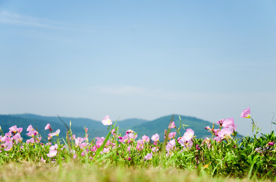 Gesanghua and distant mountain background