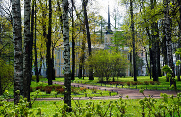 autumn trees in the Park