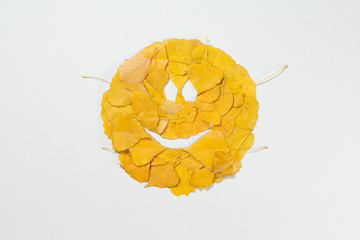 Smiling face made from yellow autumn  leaves on a white background. Isolated white background.