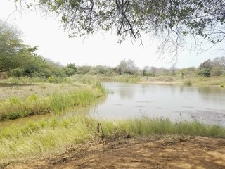 Jardin Botanico de Maracaibo