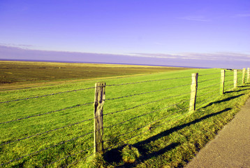 Feld an der See