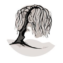 A weeping willow tree symbol © magann