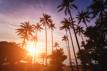 Fototapeta na wymiar Beautiful sunset at the beach in the tropics. Sky and ocean