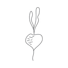 Cute doodle single beet. Hand drawn illustration for vegan poster, banner, recipe, culinary design, logo, icon, menu. Isolated on white background
