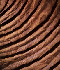 Oak wood texture background. Wood Board carving. Wooden pattern Handmade.