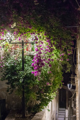 Night view of a quiet street in the old city of Safed in northern Israel