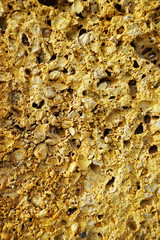 stone wall made of shells and stones texture