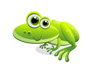 Vector illustration of a smiling green frog with big eyes isolated on white.