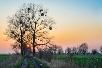 Fototapeta na wymiar sunset on Zuławy Wislane in Poland, beautiful landscape