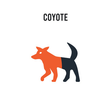 Coyote vector icon on white background. Red and black colored Coyote icon. Simple element illustration sign symbol EPS