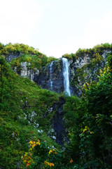Polikarya waterfall in Gorki Gorod of Sochi in summer