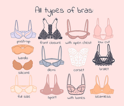 Different types of bras. stock vector. Illustration of background