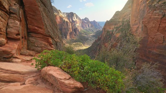 Camera moves over cliff overlooking the canyon. Zion National Park, Utah, USA