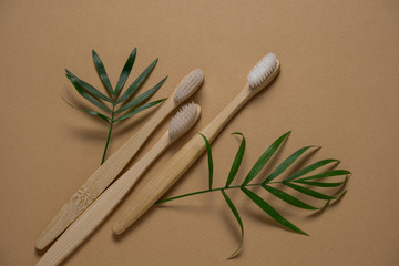 op view eco friendly wooden tooth brushes  and green tropical leaves layout on a brown background with copy space