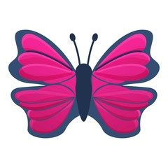 Collection butterfly icon. Cartoon of collection butterfly vector icon for web design isolated on white background