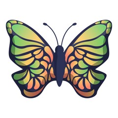 Gradient color butterfly icon. Cartoon of gradient color butterfly vector icon for web design isolated on white background