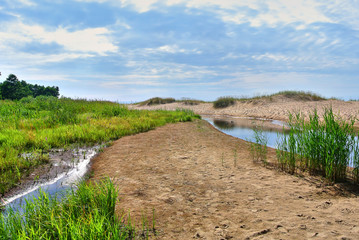 Fototapeta na wymiar Saulkrasti, Latvia - The mouth of the Inchupe River on the beach of the Gulf of Riga, brown sand, green grass and bulrushes, blue sky in the summer during the daytime