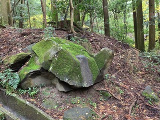 亀の形をした岩