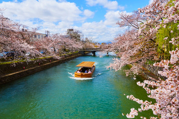桜３３