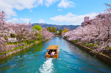 桜３２