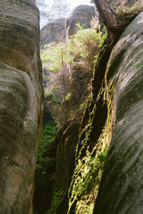 Rock city Adrspach in Czech Republic.