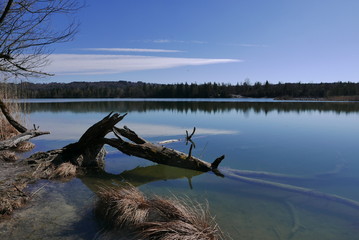 Ickinger Weiher - Landschaftsschutzgebiet - ein kleiner See am Rande der Gemeinde Egling bei Wolfratshausen, Oberbayern - Germany